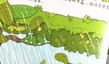 乌龟和蜗牛的看图说话