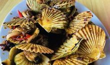 写给一年前的我