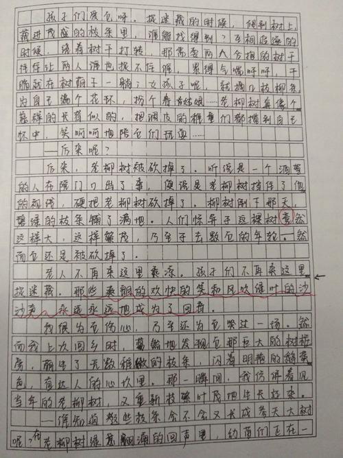听回声