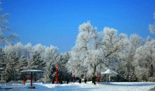 我爱家乡的冬天