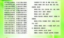 让文明撒满校园