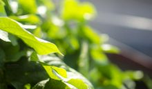 温暖寻常岁月的声音