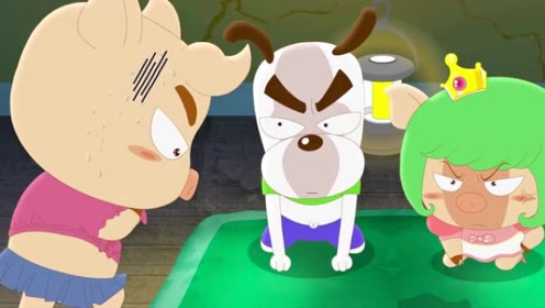 猪皮皮肤找工作