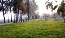 我最爱的季节秋天