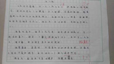 选择构图800字的故事