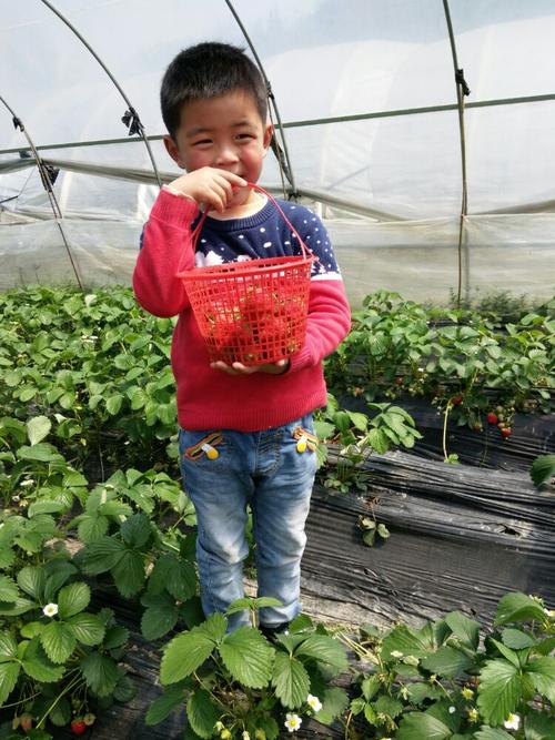 我劳动的成果