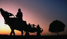 读懂成功与失败