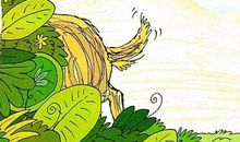 蜗牛和乌龟的故事