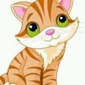 顽皮的虎斑猫
