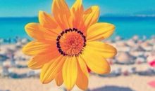 一想到这件事，我就觉得温暖