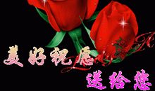 那一声轻轻的问候