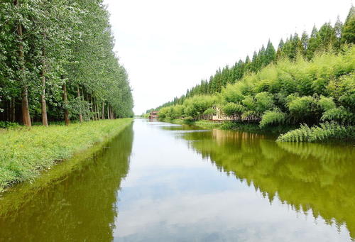 黄海森林公园