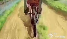 生日——母亲的受难日