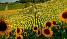 这里让我流连忘返