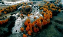 换个角度看风景