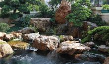 校园一景——海螺鱼池