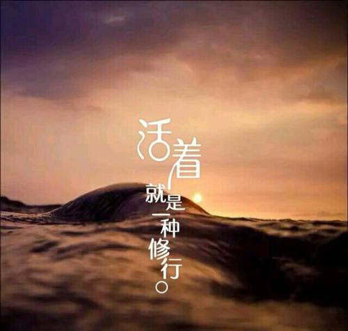 真情