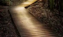 打磨过的人生才有价值