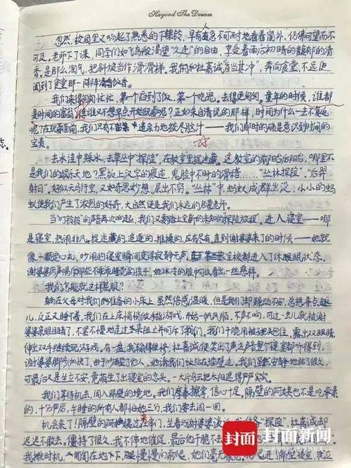 选择叙事