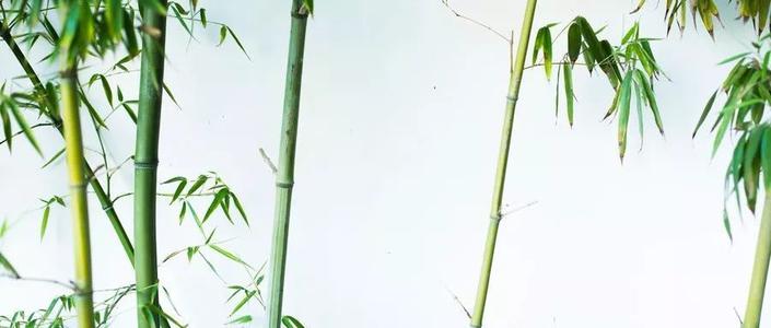 可以承受抛光的生活很有价值