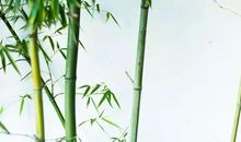 经得起打磨的人生才会有价值