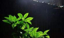 走在诗词的世界里