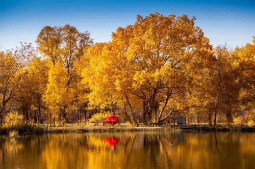 世界上最美丽的是秋天