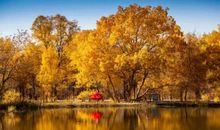 人间最美是秋天