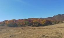 我多想家乡变得更美