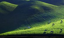 美呀！南山大草原