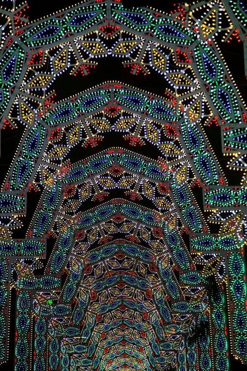 让地球美丽绽放