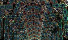 让地球绽放美丽