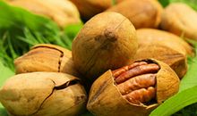 爱在“碧根果”