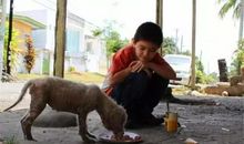 少年陆天和流浪狗