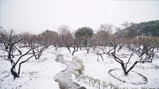 等待下雪