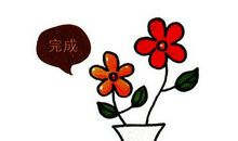 小花的生长过程