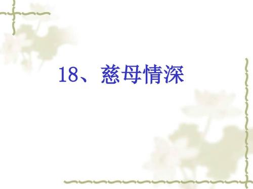 母亲深情