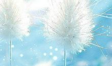 水眷恋恋缠络无绵