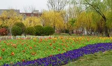 春天里的新发现