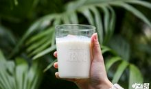 那杯牛奶留在我记忆深处