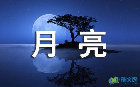 鱼影响我的情绪