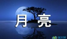 鱼儿牵动我的情思