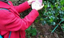 我是绿色小卫士