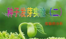 我就是一颗会发芽的种子