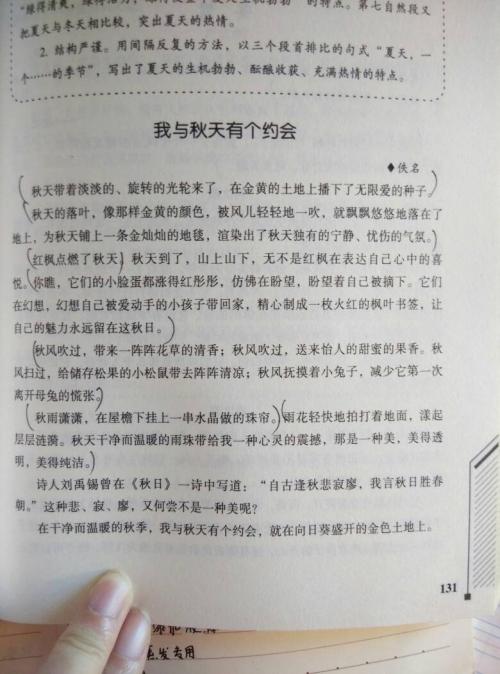 秋风作文300字