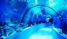 游极地海洋公园