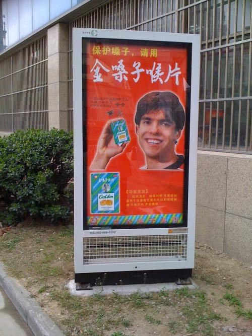 有关灭蚊的趣闻