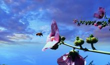 那段忧伤的日子