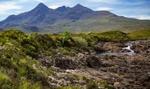 有一种美丽叫曲折