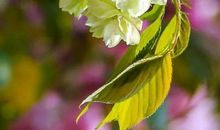 爱就在某个角落